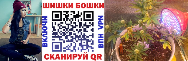 Купить  Южа  Каннабис OG Kush 